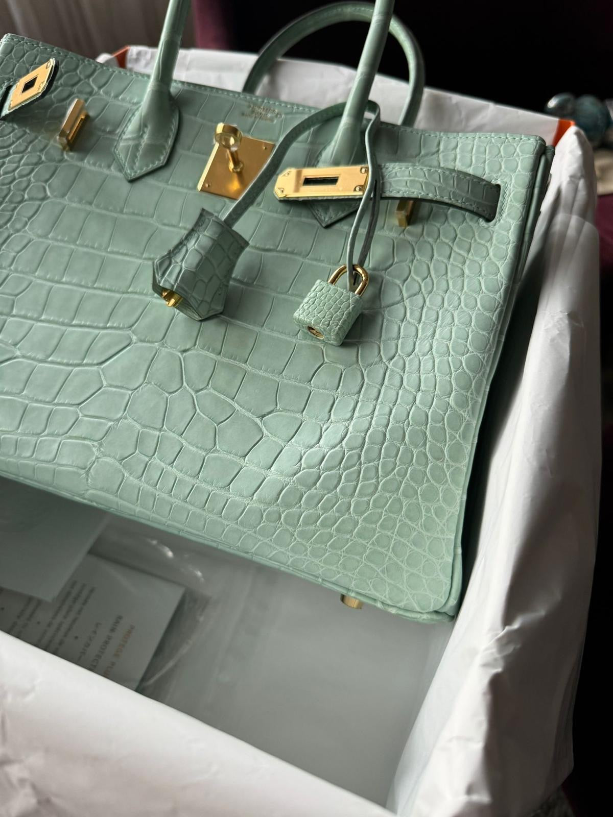 Hermes Birkin B25 aligator GHW