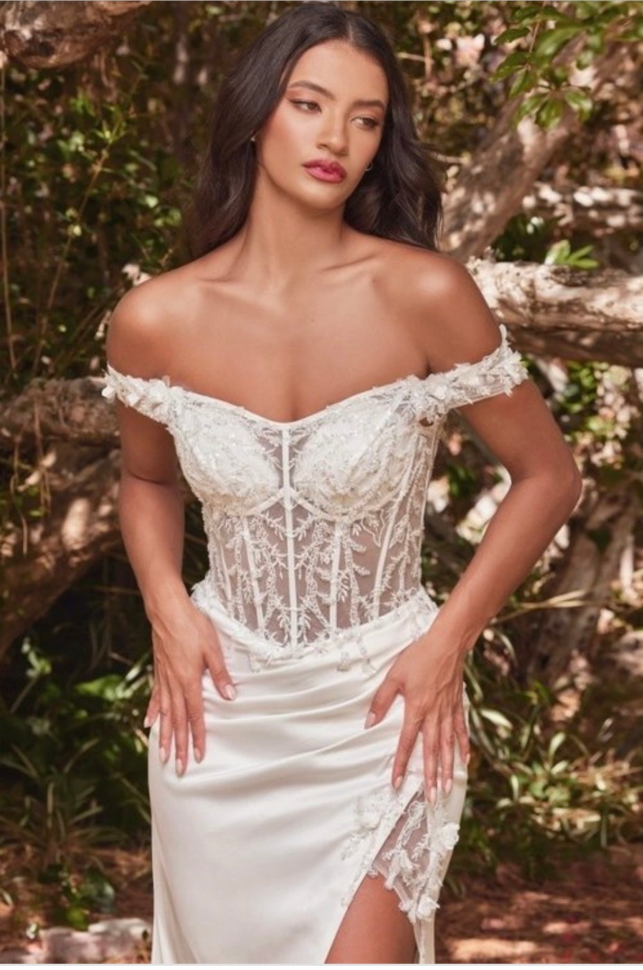 Cinderella Divine
