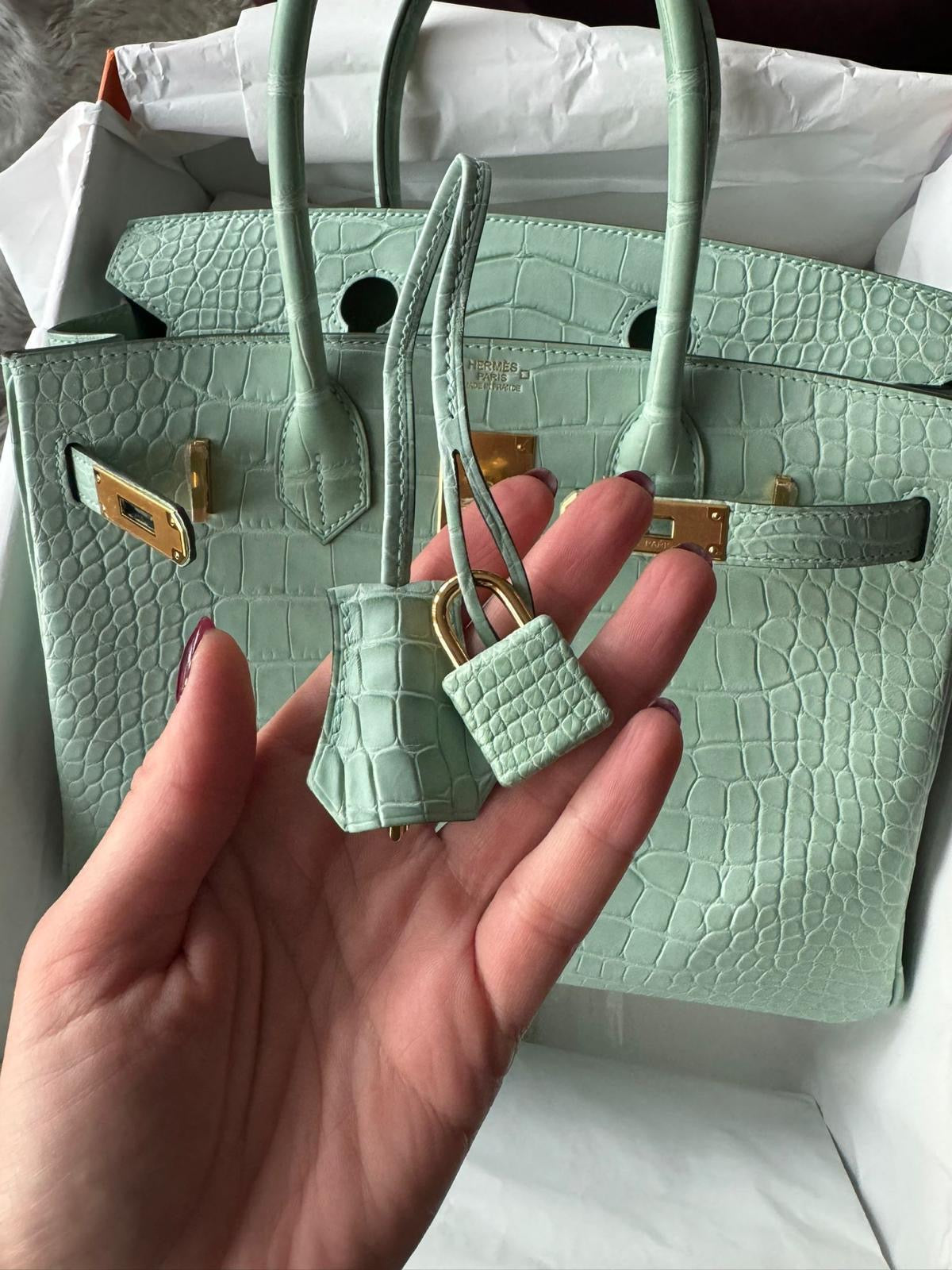 Hermes Birkin B25 aligator GHW