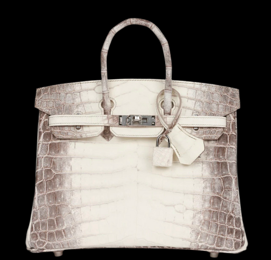 Matte Niloticus Crocodile Himalaya Birkin 25 Blanc