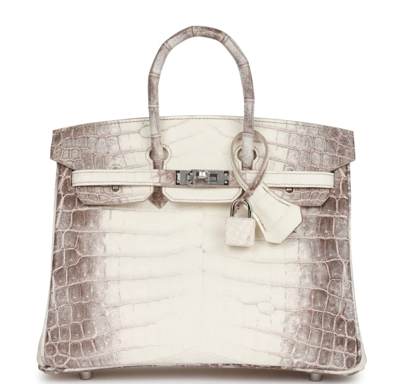 Matte Niloticus Crocodile Himalaya Birkin 25 Blanc