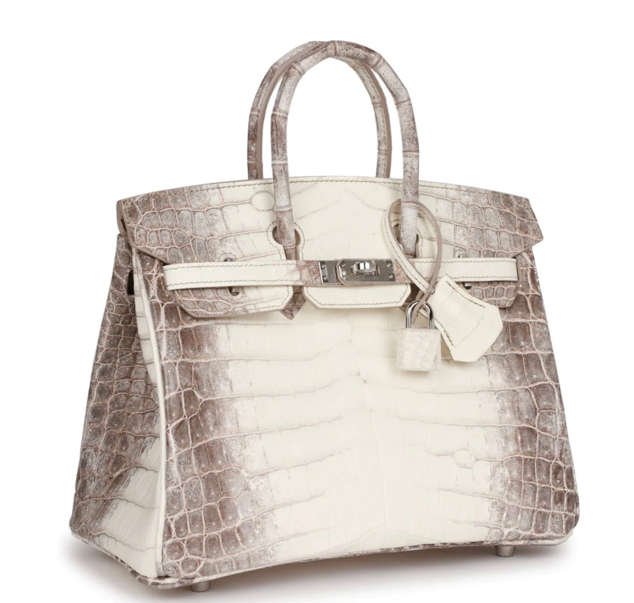 Matte Niloticus Crocodile Himalaya Birkin 25 Blanc