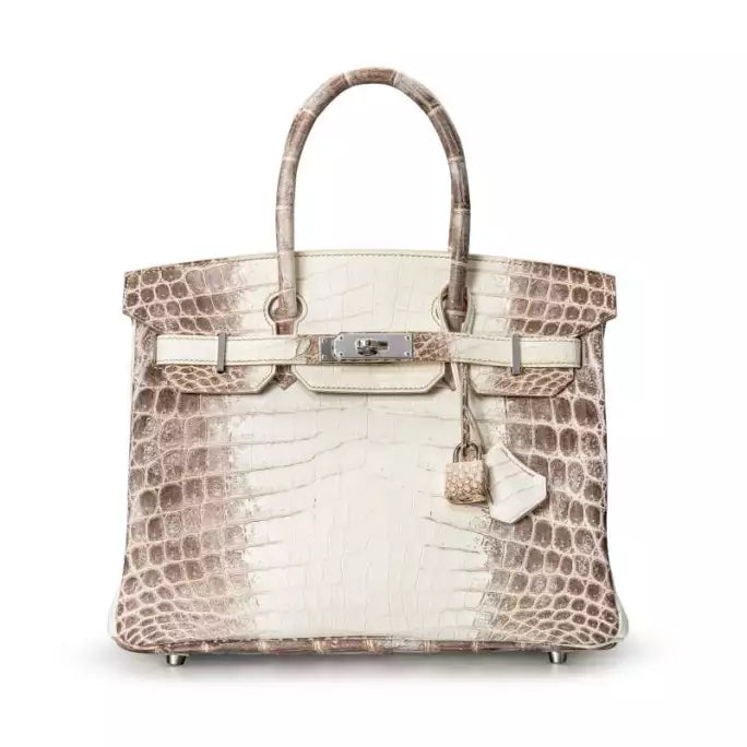 Matte Niloticus Crocodile Himalaya Birkin 25 Blanc