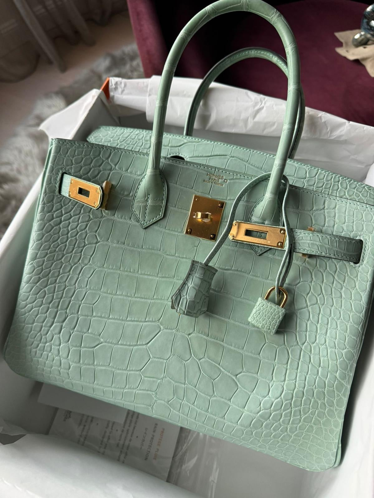 Hermes Birkin B25 aligator GHW