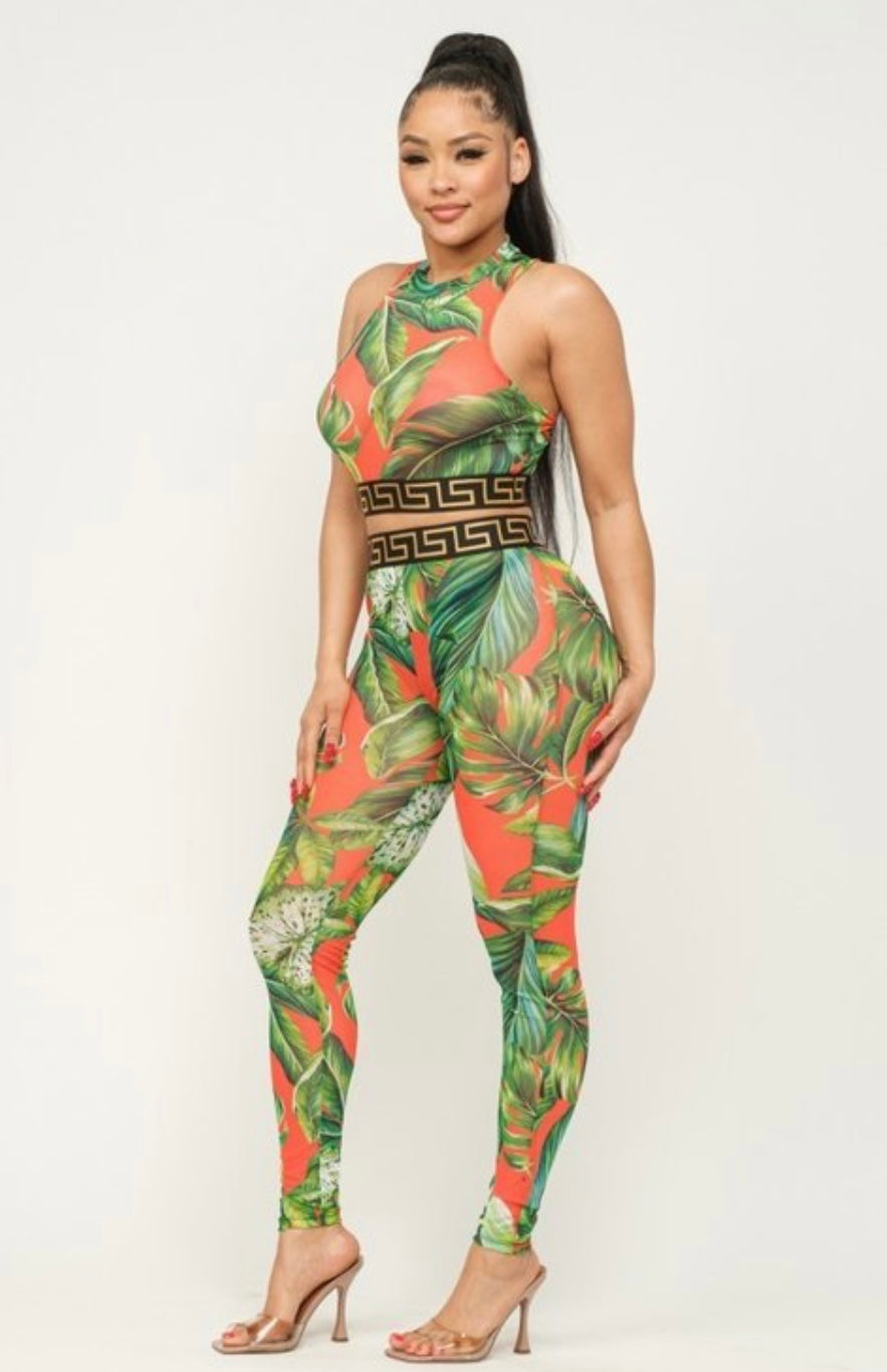 Belitta