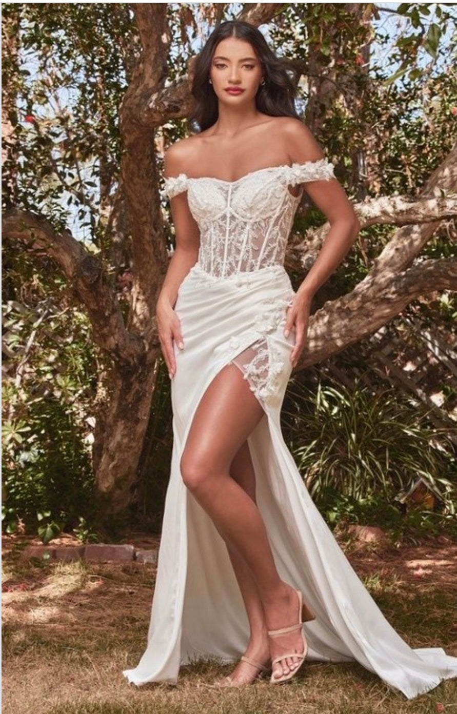 Cinderella Divine
